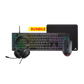 CORSAIR K55 CORE RGB Keyboard + HARPOON RGB Pro Mouse + MM100 Mouse Pad + HS35 V2 Headset Bundle