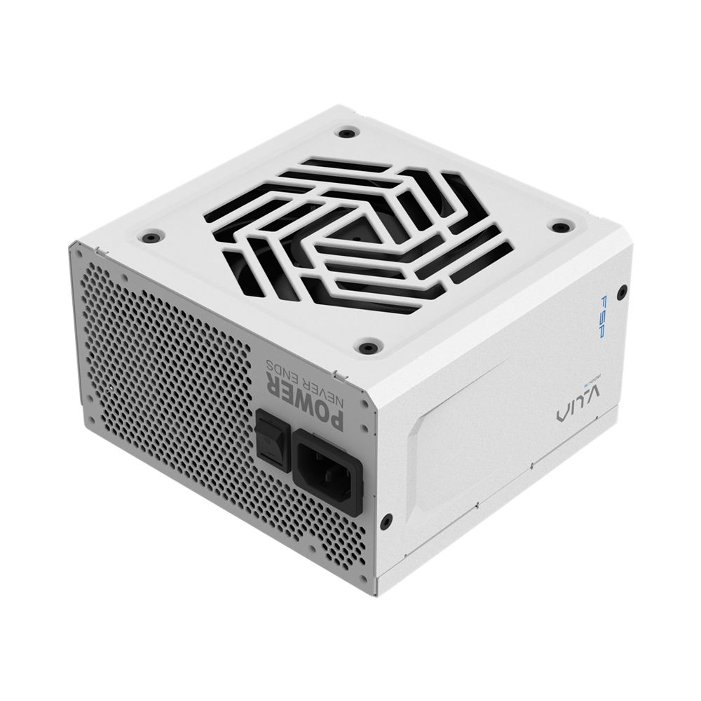 FSP VITA-850GM 850W PCIe 5.1 80 Plus Gold Power Supply - White