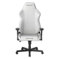 DXRACER Drifting Series L Gaming Chair - White