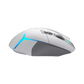 LOGITECH G502 X PLUS LIGHTSPEED RGB Wireless Gaming Mouse - White