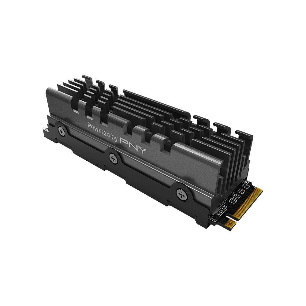 PNY CS3040 M.2 NVMe SSD with Heatsink,(R-5600 MB/s W-4300 MB/s)-2TB