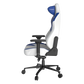 DXRACER Craft Pro Classic Gaming Chair - White/Blue
