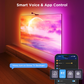 Govee Envisual 55''-65'' TV Backlight 3s H6098(Netflix Edition)