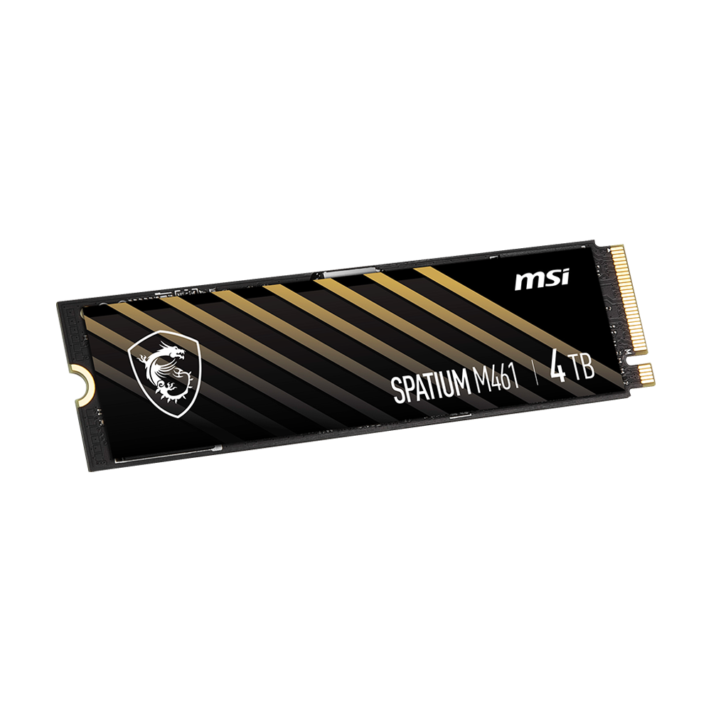 SPATIUM M461 PCIe 4.0 NVMe M.2 4TB