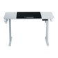 Twisted Minds Paradox Adjustable Gaming Desk - White