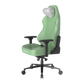 DXRACER Craft Pro Classic Gaming Chair - Green