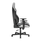 DXRacer Drifting Series XL Gaming Chair - White/Black