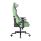 DXRACER Craft Pro Classic Gaming Chair - Green