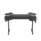 Gamvity Electric Height Adjustable Gaming Desk(1600*800*750) - Black