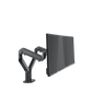 Gamvity Adjustable Dual Monitor Arm Stand – Premium Aluminum Mount for 27" Monitors