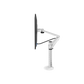 Gamvity Single-Arm Aluminum Desk Clamp Monitor Mount for 27"–32" Displays