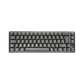 DUCKY ONE 3 SF HOT SWAP Blue Switch Cherry RGB Wired Mechanical Gaming Keyboard Arabic - Aura Black