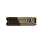 MSI SPATIUM M570 M.2 2280 PCIe GEN5X4 NVMe SSD With Heatsink (R:10,000 MB/s W:10,000 MB/s) - 2TB