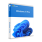 Microsoft Windows 11 Professional 64 BIT
