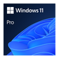 Microsoft Windows 11 Professional 64 BIT