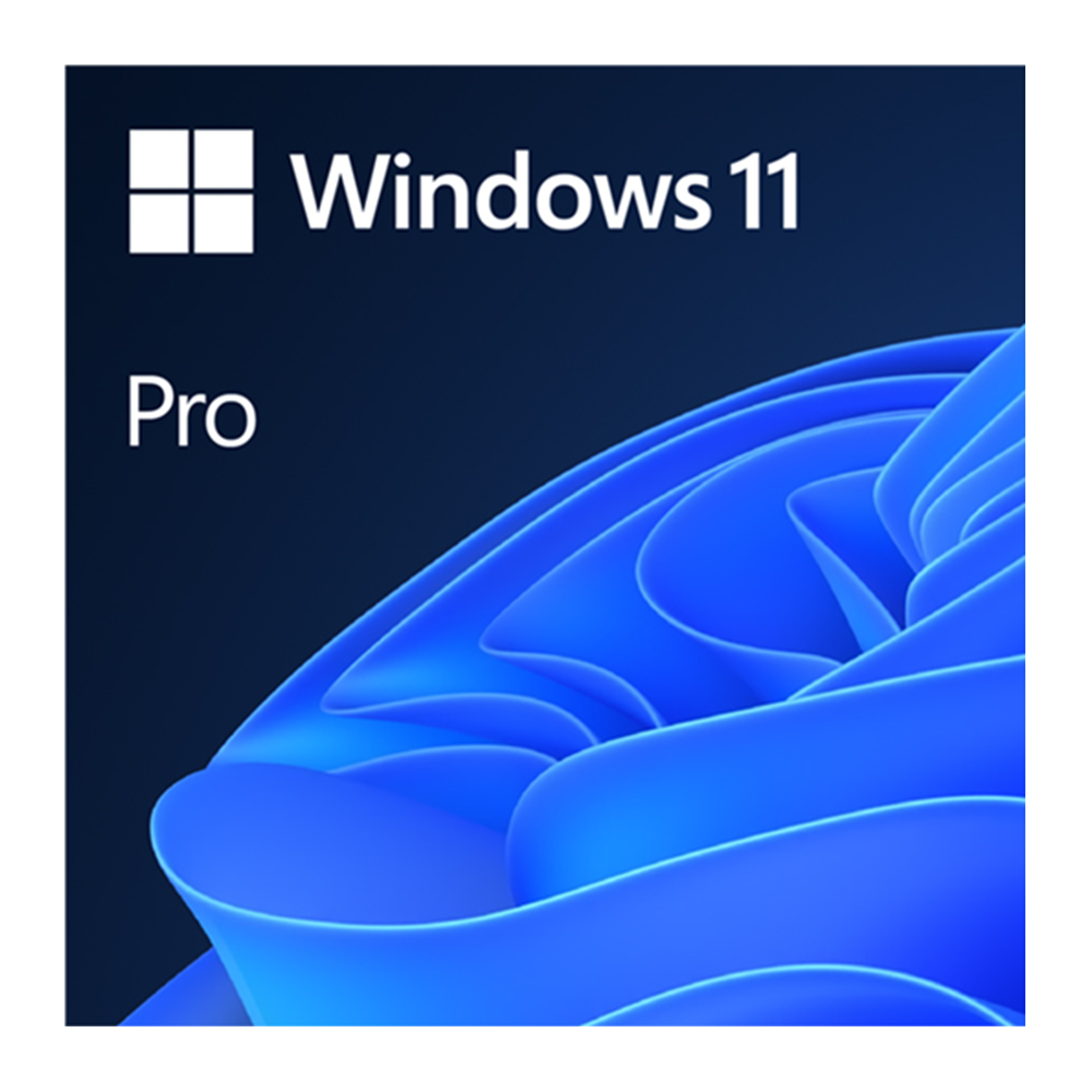 Microsoft Windows 11 Professional 64 BIT