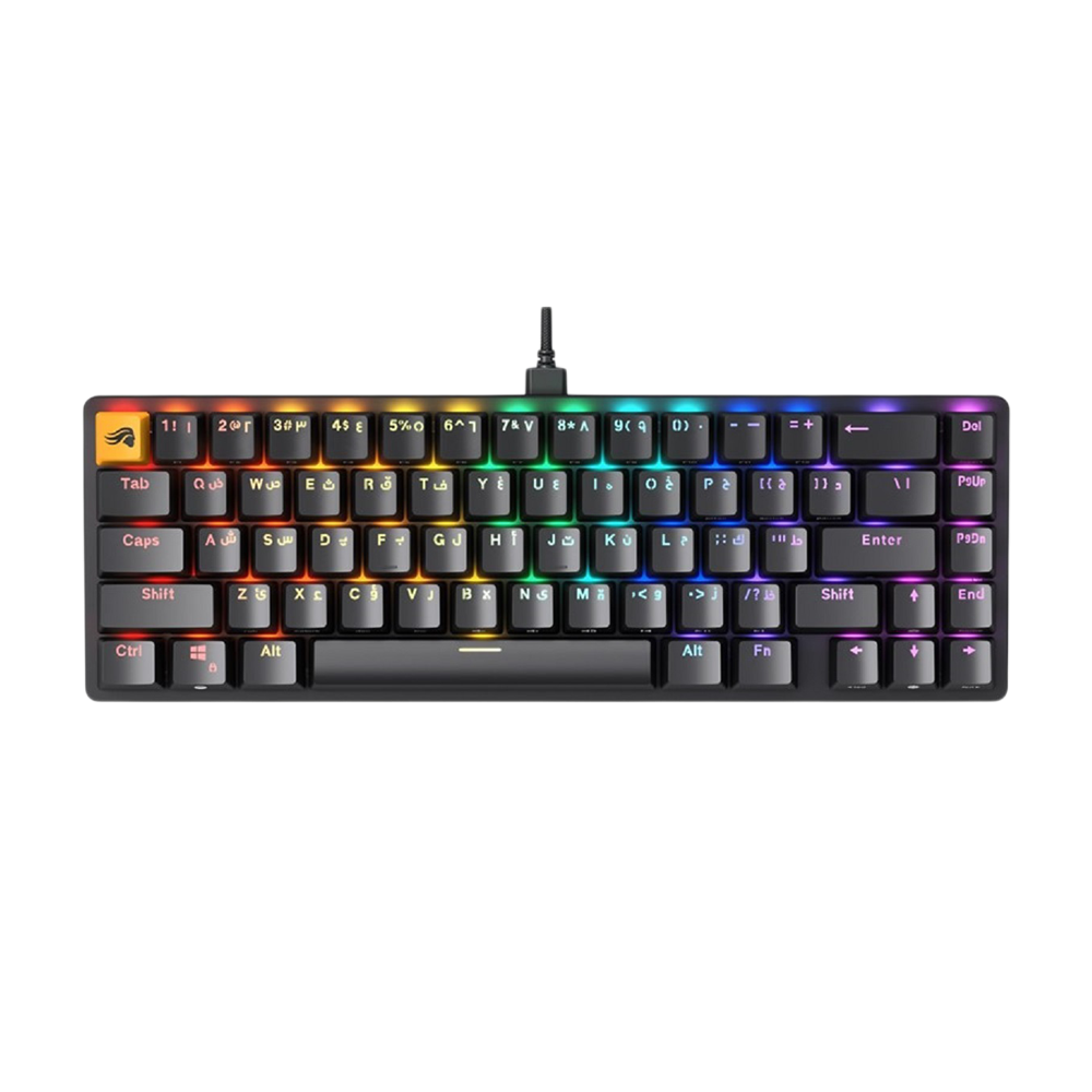 GLORIOUS GMMK2 65% Wired RGB Mechanical Gaming Keyboard Arabic - Black