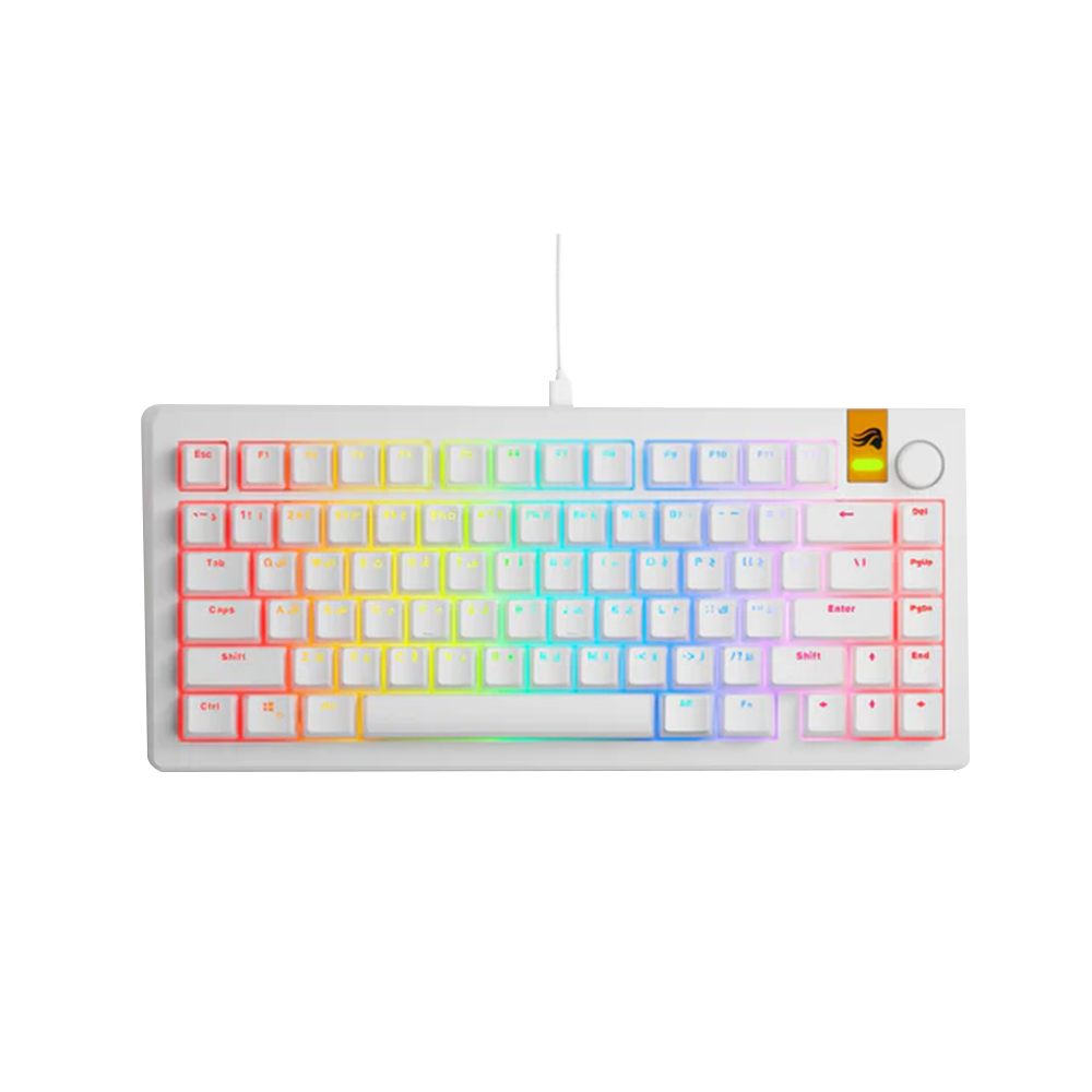 GLORIOUS GMMK 3 HE 75% Prebuilt Wired Mechanical Gaming Keyboard Arabic - White