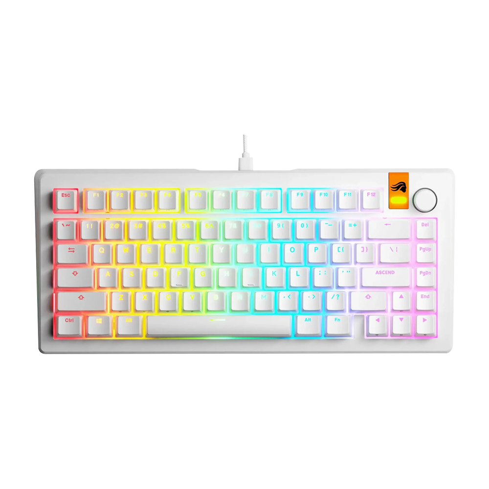 GLORIOUS GMMK 3 HE 75% Prebuilt Wired Mechanical Gaming Keyboard Arabic - White
