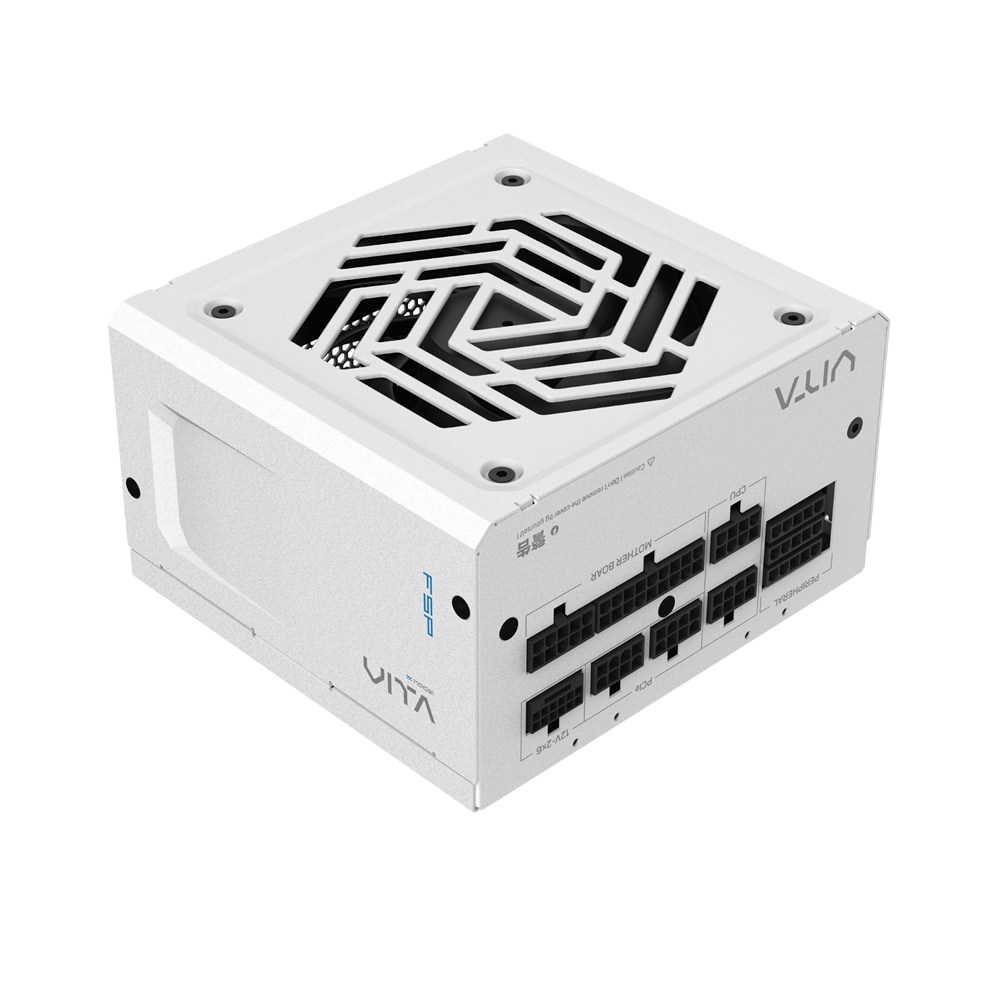 FSP VITA GM 1000W Fully modular PCIe 5.1 ATX 3.1 80 Plus Gold Power Supply - White