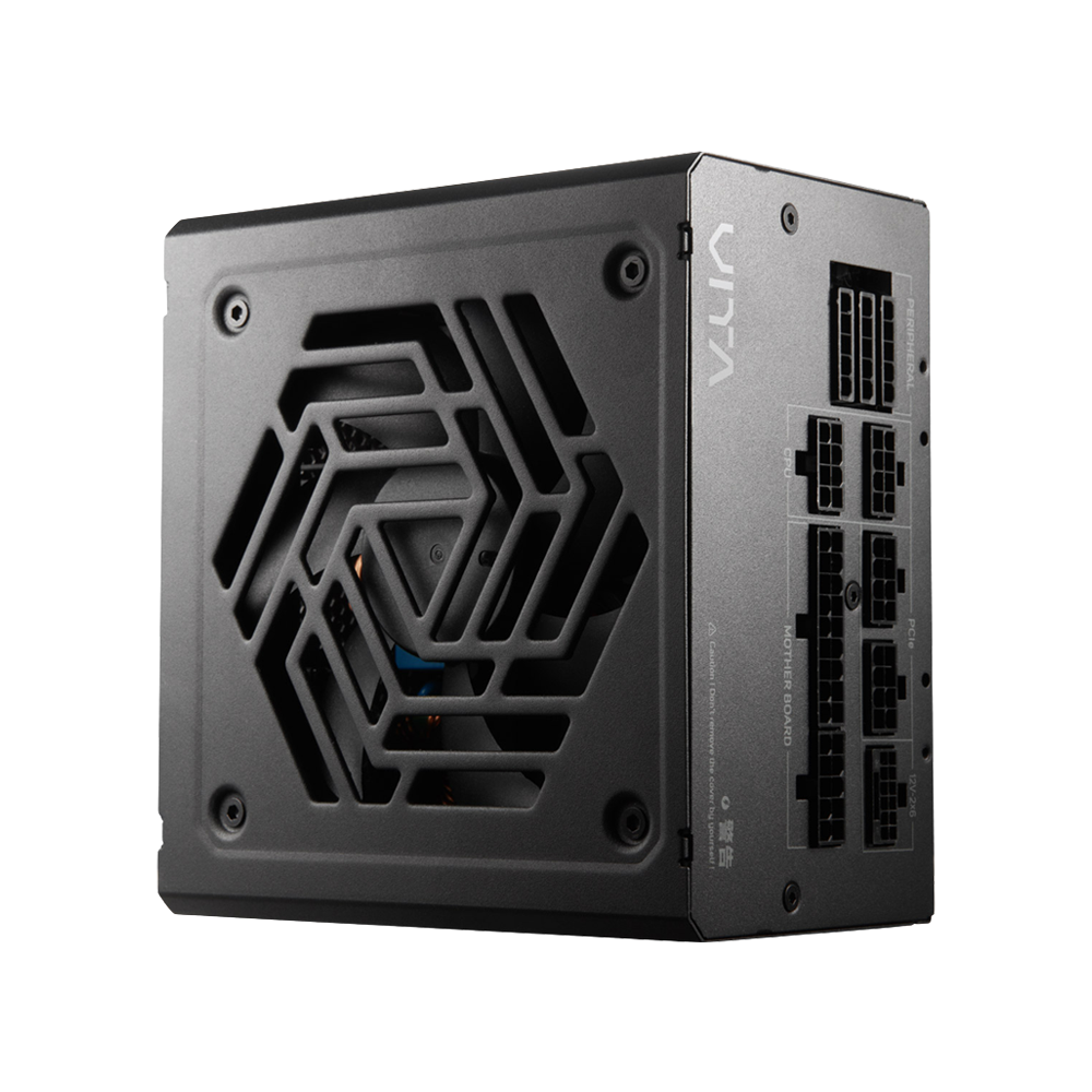 FSP VITA GM 1000W Fully modular PCIe 5.1 ATX 3.1 80 Plus Gold Power Supply - Black