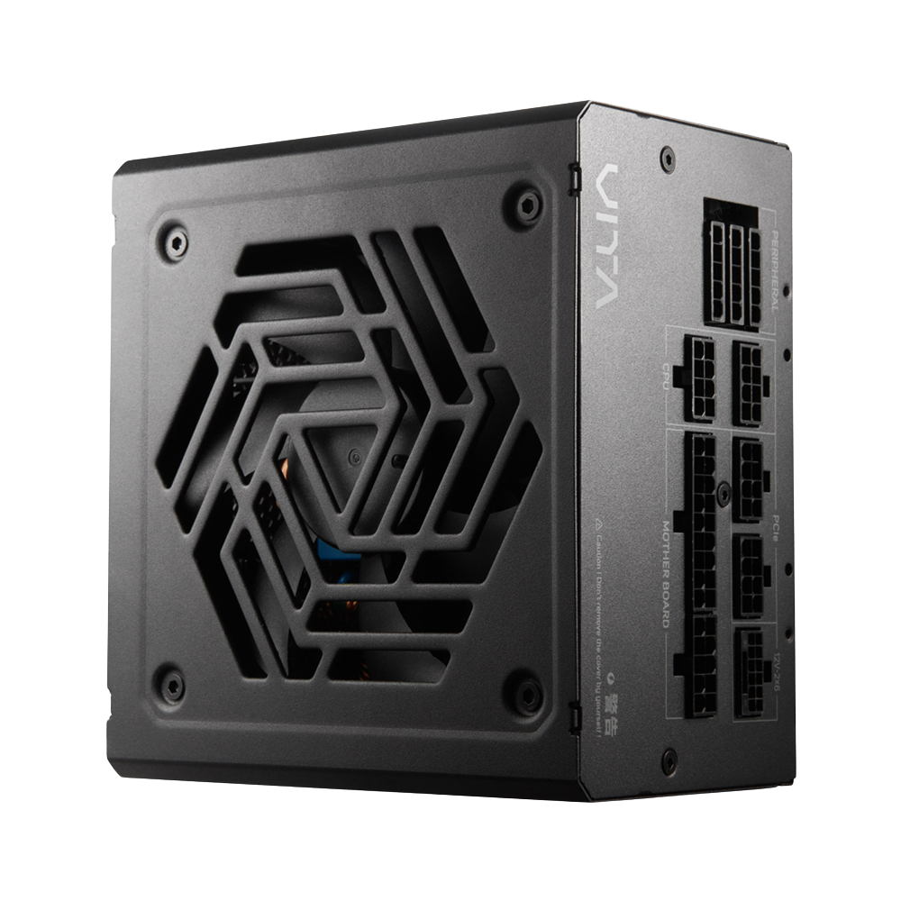 FSP VITA GM 850W Fully modular PCIe 5.1 ATX 3.1 80 Plus Gold Power Supply - Black