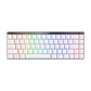 ASUS ROG FALCHION RX LP 65% Wireless Optical Mechanical Gaming Keyboard Arabic - White