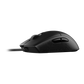 CORSAIR M55 Lightweight Gaming Mouse (AP)